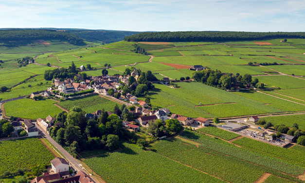 Domaine Comte Senard, Aloxe-Corton