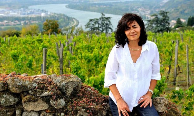 Domaine Georges Vernay – kracht en finesse gebundeld