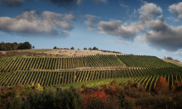 Weingut Schäfer-Fröhlich, Nahe