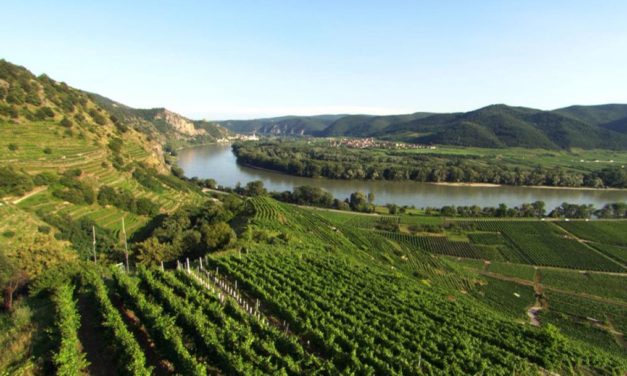 Wachau: terroir troef