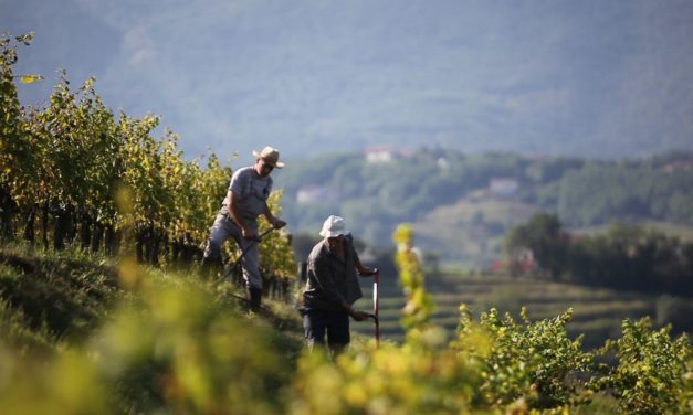 Wit, oranje en rood uit Slovenië