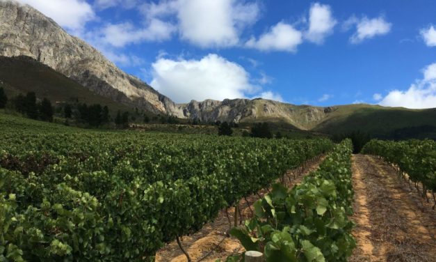 Aventura Exciting Wines
