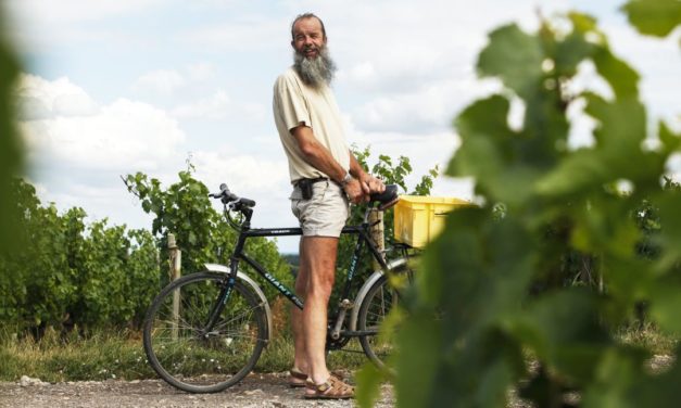 500% wijn: proeven zonder grenzen