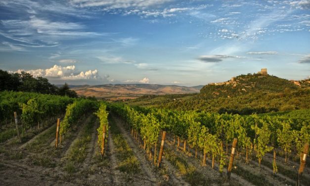 Back to the future met Podere Forte