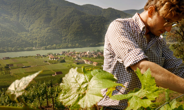 Wine Professional 2018: Mathias Hirtzberger