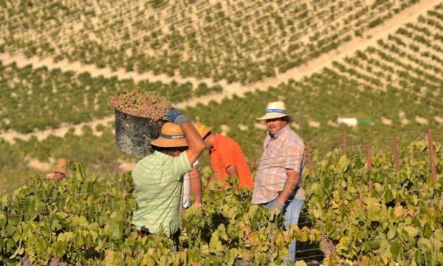Valdespino: situatie in Jerez verbetert