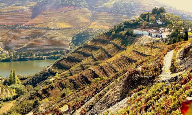 Prowein 2018 | deel 2 – Portugal