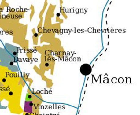 Wijnen uit de Mâconnais: terroir versus stijl