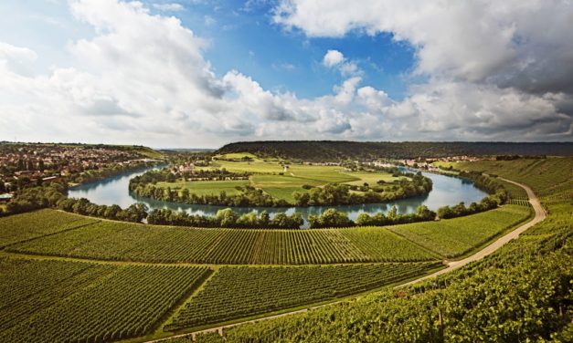 Mainzer Wijnbeurs 2018: betoverend elegante rieslings