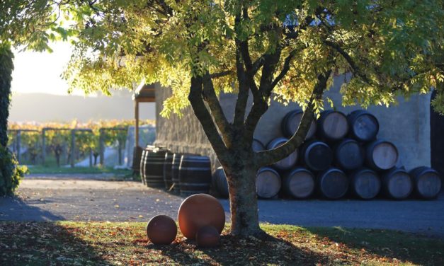 Neudorf Vineyards en Charles Melton bij Mei-Wah
