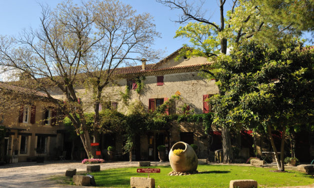 Verrassende châteauneuf van Château Cabrières