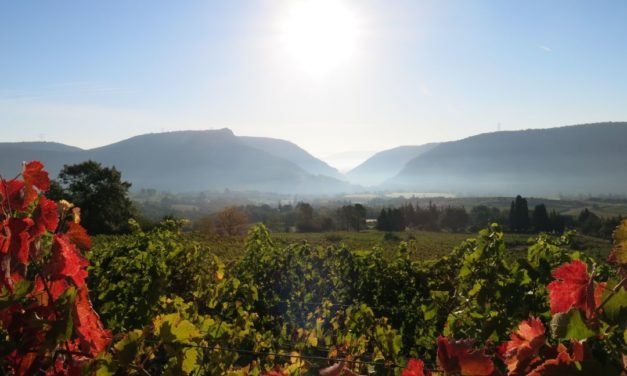 Eric Texier – Domaine de Pergaud, Côtes du Rhône