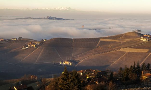 Tenuta Cisa Asinari dei Marchesi di Grésy