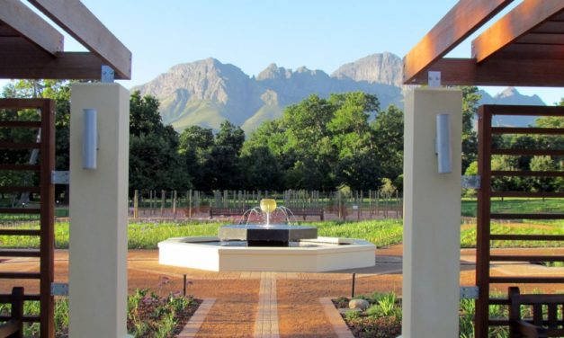 Vergelegen GVB Red, Stellenbosch, Zuid-Afrika 1998