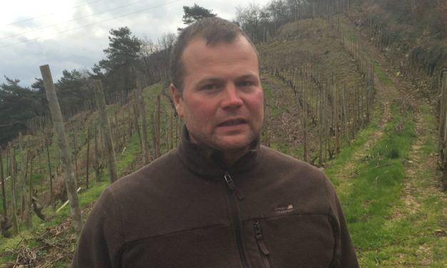 Opkomend Rhône-talent van la Vie le Vin