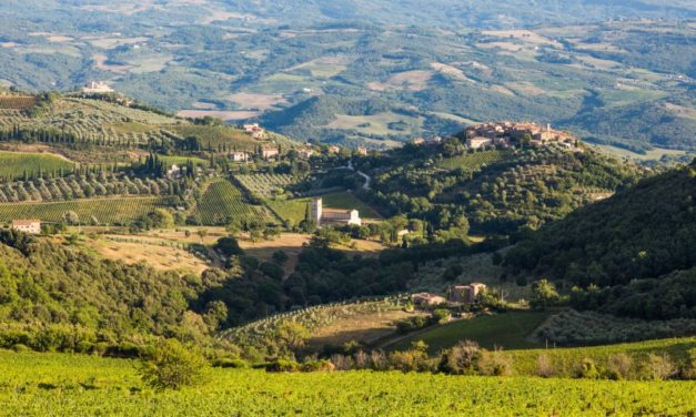 Brunello di Montalcino 2013
