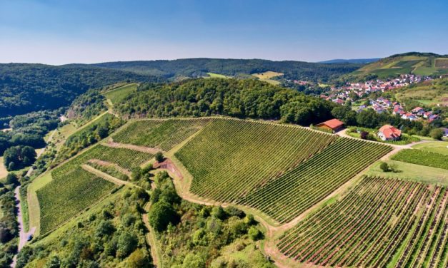 Op bezoek bij Weingut Schäfer-Fröhlich