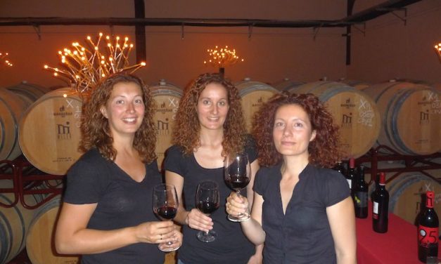 Bodegas Meler, Somontano