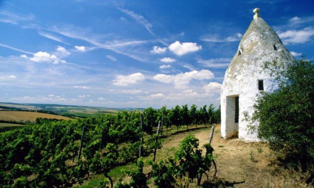 VDP.Grosse Gewächse, Wiesbanden 2019: Rheinhessen