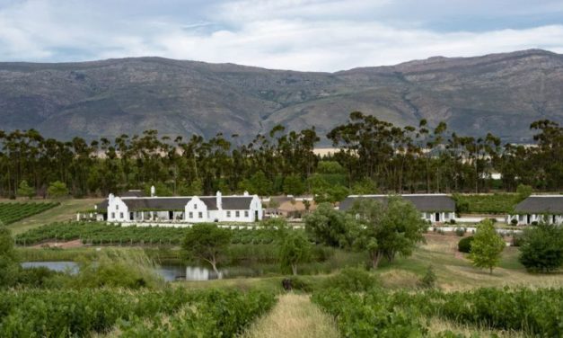 Veelgeprezen chenins en pinotages van Rijk’s, Tulbagh