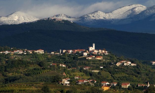 Slovenië, wijnland met een mooie toekomst