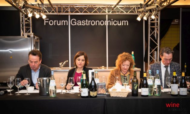 Wine Professional 2020: wijnen uit de Méditerranée