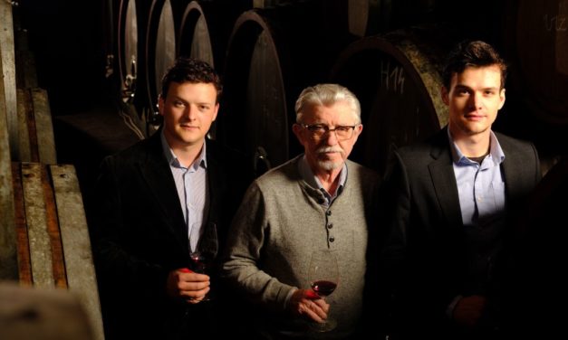 Wine Professional Box – Tiffán’s & Mondivin