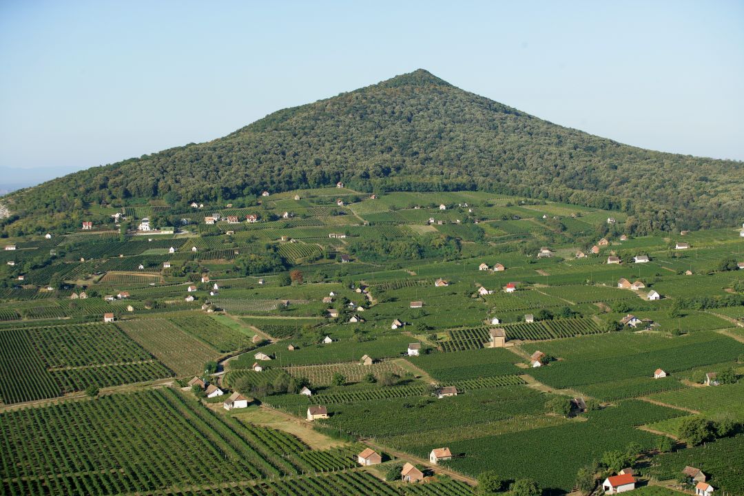 wijngaarden bij Villány