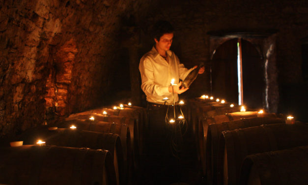 Wine Professional: Batič & RIJKS®