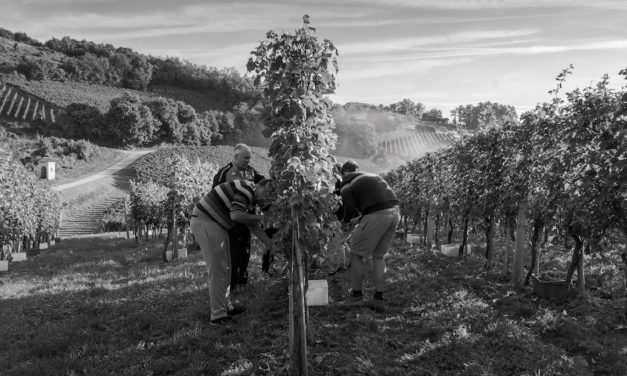 Istenič: sparkling wines van hoog niveau