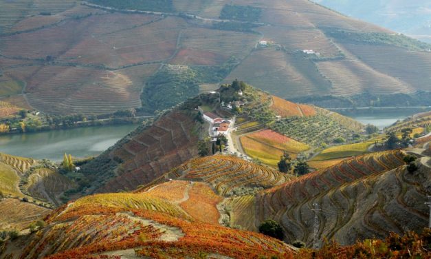 Vinha da Ponte, Quinta do Crasto, Douro, Portugal 2000