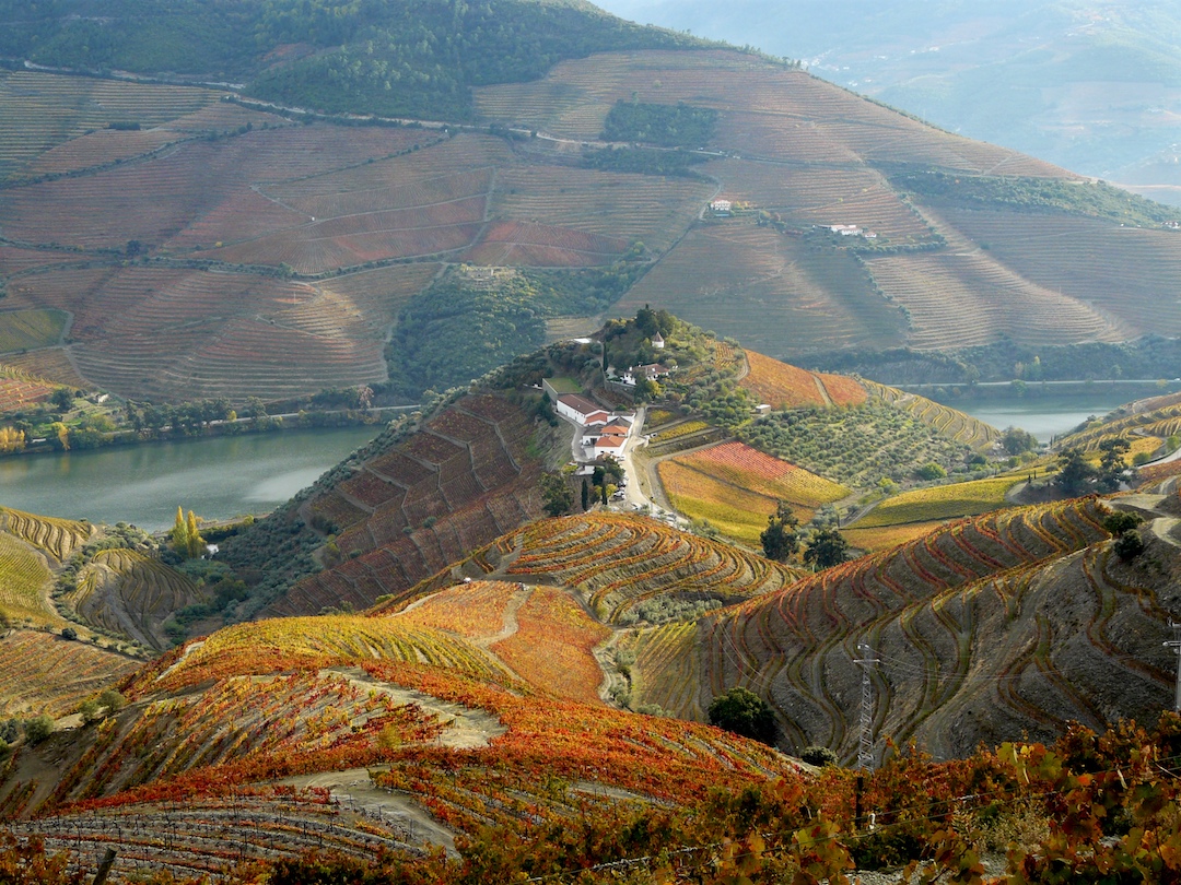 Vinha da Ponte, Quinta do Crasto, Douro, Portugal 2000