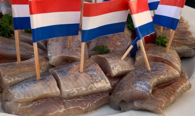 Nieuwe Haring / Sherry Test 2020