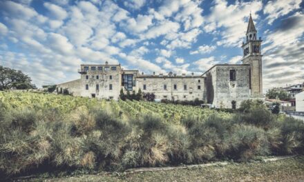 Castello di Semivicoli Pecorino, Masciarelli, Abruzzo, Italië 2015