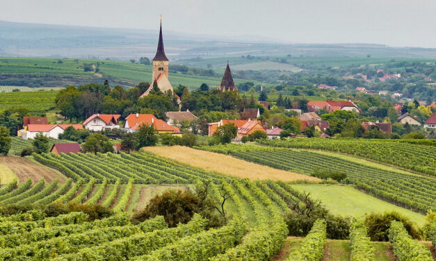 Grüner Veltliner Privat, Weingut Christoph Bauer, Weinviertel DAC, Oostenrijk 2015