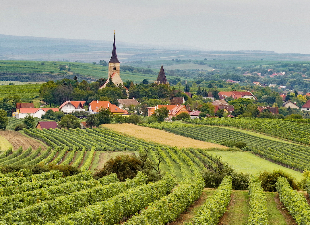 Grüner Veltliner Privat, Weingut Christoph Bauer, Weinviertel DAC, Oostenrijk 2015