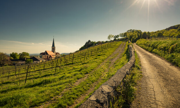 Privat Rot, Weingut Krug, Thermenregion, Oostenrijk 2015