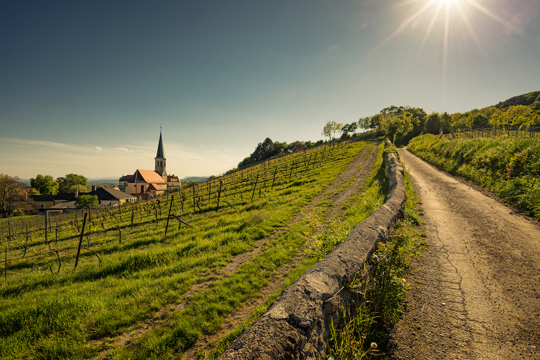 Privat Rot, Weingut Krug, Thermenregion, Oostenrijk 2015