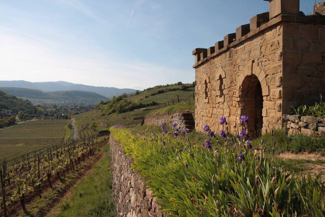 Pierres Sèches Pinot Gris, Domaine René Muré, Alsace, Frankrijk 2018