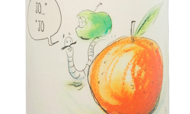 Fio Wines: een eigen kijk op riesling