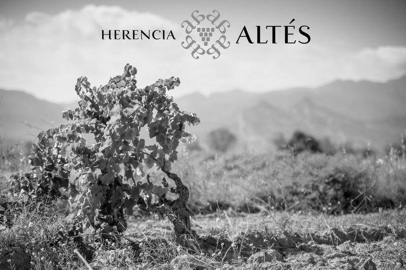 La Serra Blanc, Herència Altés, Terra Alta, Spanje 2018