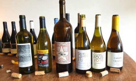 Waar zijn de ‘new wave’ wijnmakers uit Chili?