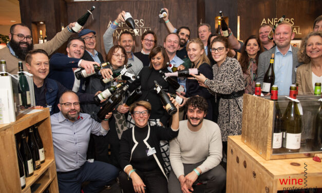 Wine Professional Box – Anfors Imperial