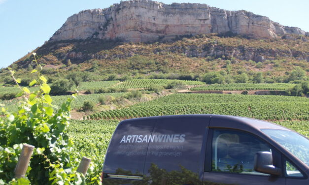 Wine Professional Box – Artisan Wines