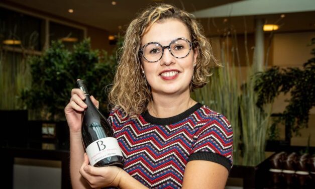 Wine Professional Box – Rijkhoff Wijnen