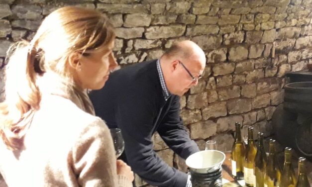 Wine Professional Box – Het Wijnmagazijn