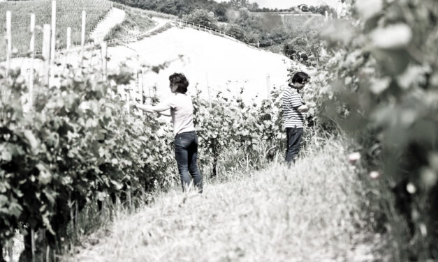 Nebbiolo, Ferdinando Principiano, Langhe, Italië 2018