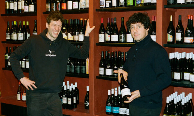 Wine Professional Box – Troppo Giovane