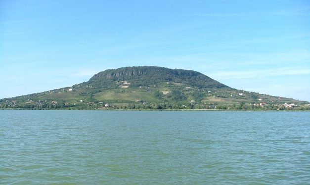 Kéknyelü, Szeremley, Badacsony, Hongarije 2006