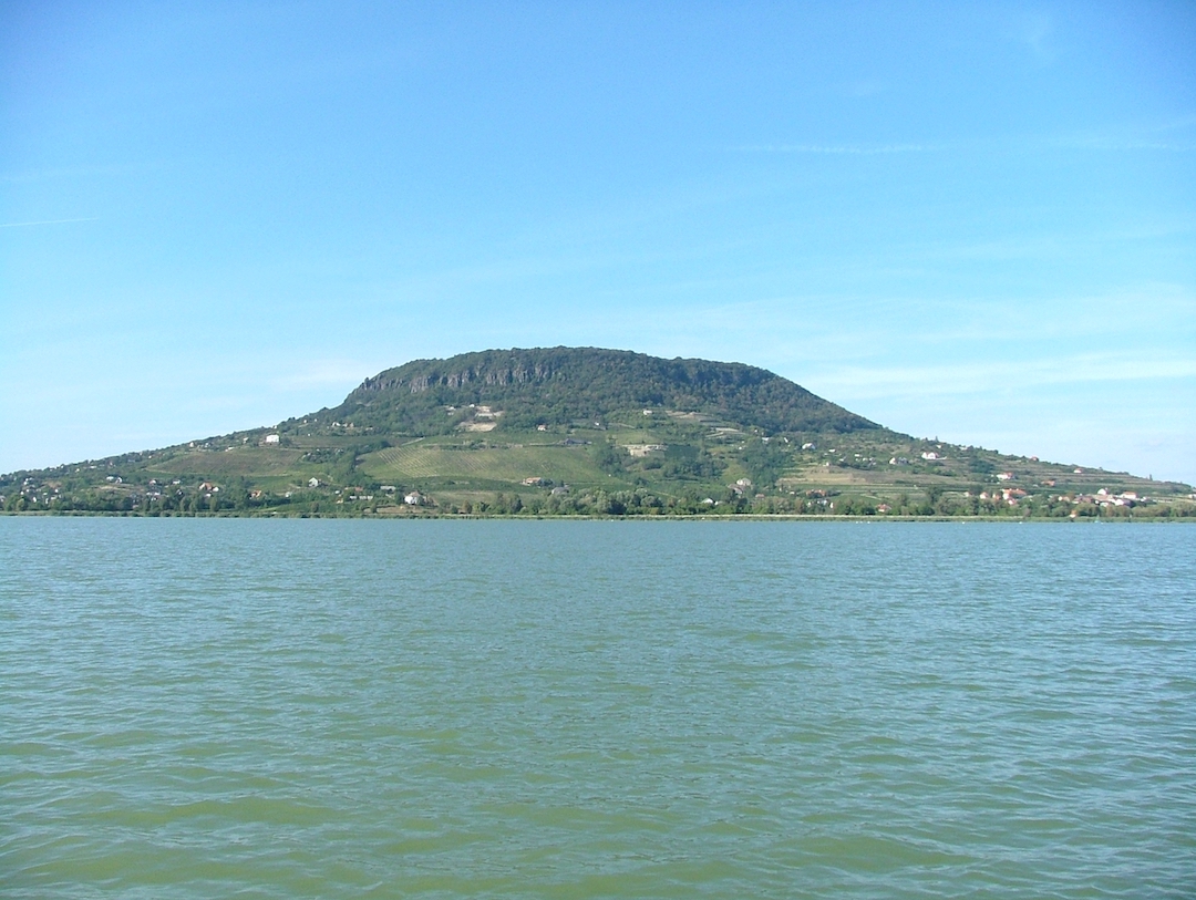 Kéknyelü, Szeremley, Badacsony, Hongarije 2006